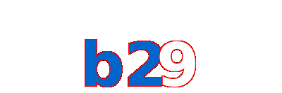 b29